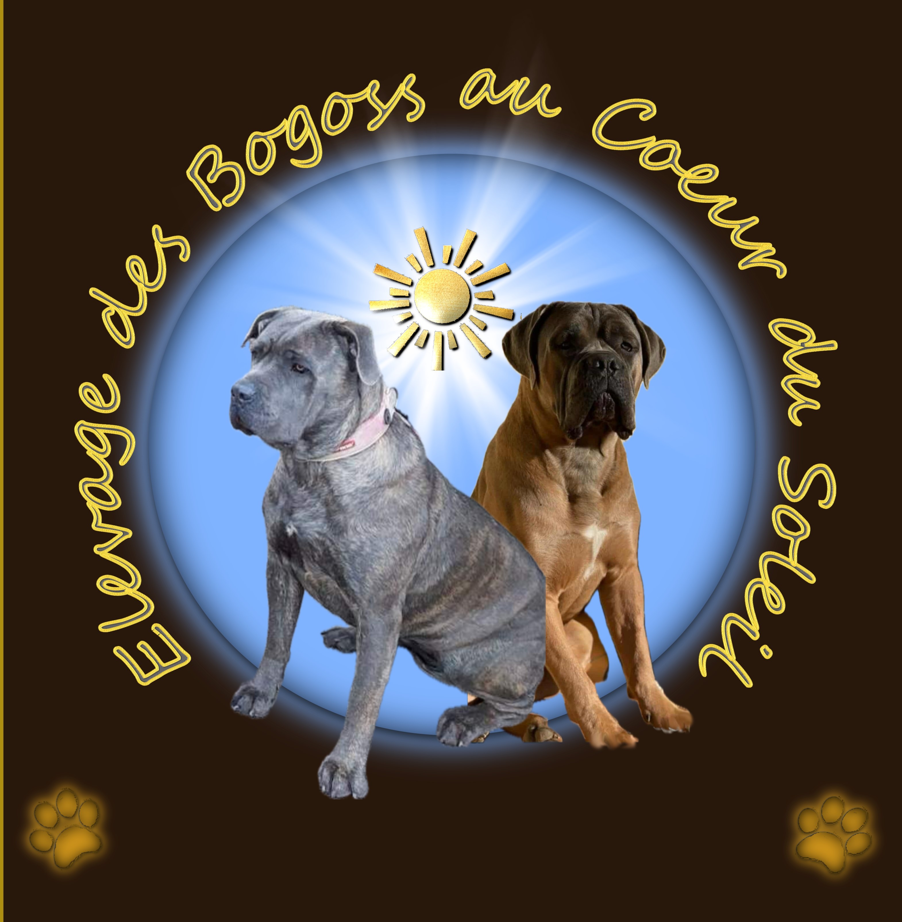 Des Bogoss Au Coeur Du Soleil